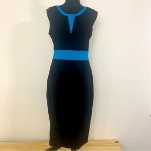 NWT Sleeveless Back Zip Lightweight Fitted Dress